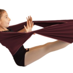 Stretch-eze -  The Ultimate Full-Bodied Fitness Band