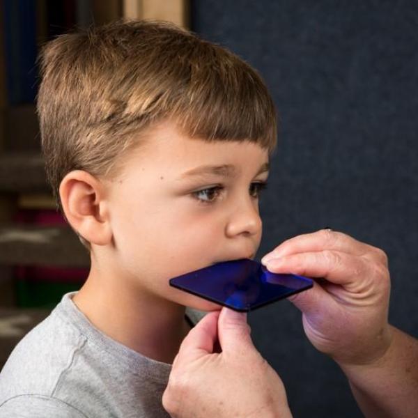 Sensory Motor Approach to Apraxia Online Course