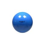 TheraBand Standard Exercise Ball
