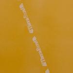 Theraband Professional Resistance Band Latex - Gold / Max - 5ft