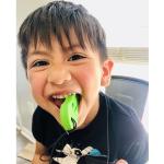 ARK's Dino-Bite Chewelry - Chewable Necklace